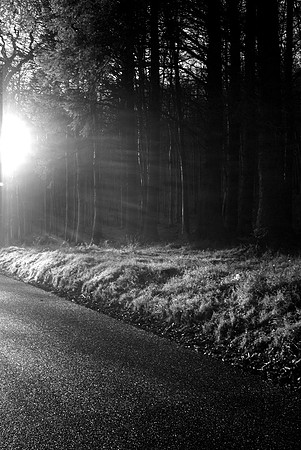 ireland december 08 002-1