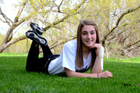 Crown Point Spring Sports 2014